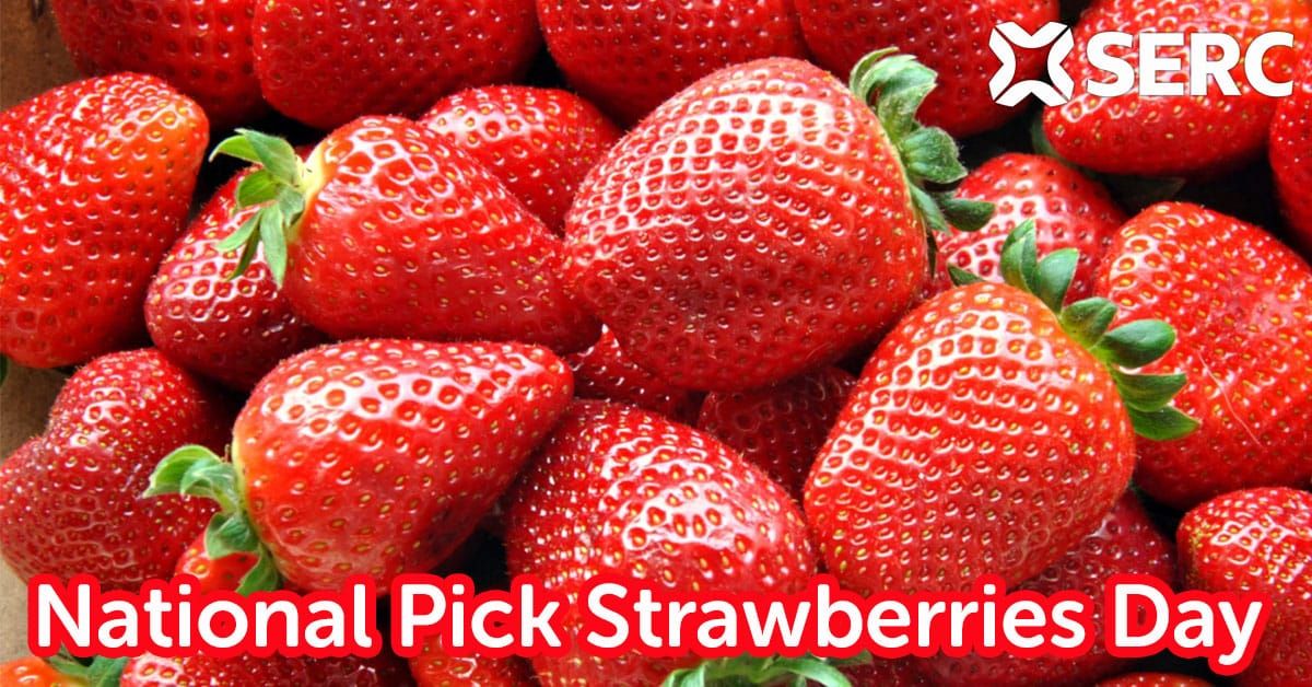 National-Pick-Strawberries-Day